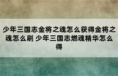 少年三国志金将之魂怎么获得金将之魂怎么刷 少年三国志燃魂精华怎么得